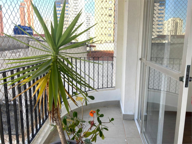 Apartamento para alugar com 3 quartos em Chácara Santo Antônio, São Paulo, SP