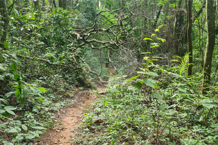 Terreno à venda em Caraguatá, Mairiporã, SP