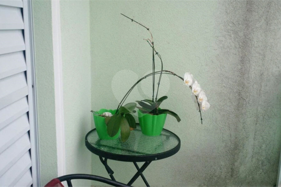 Sobrado à venda com 3 suítes em Limão, São Paulo, SP