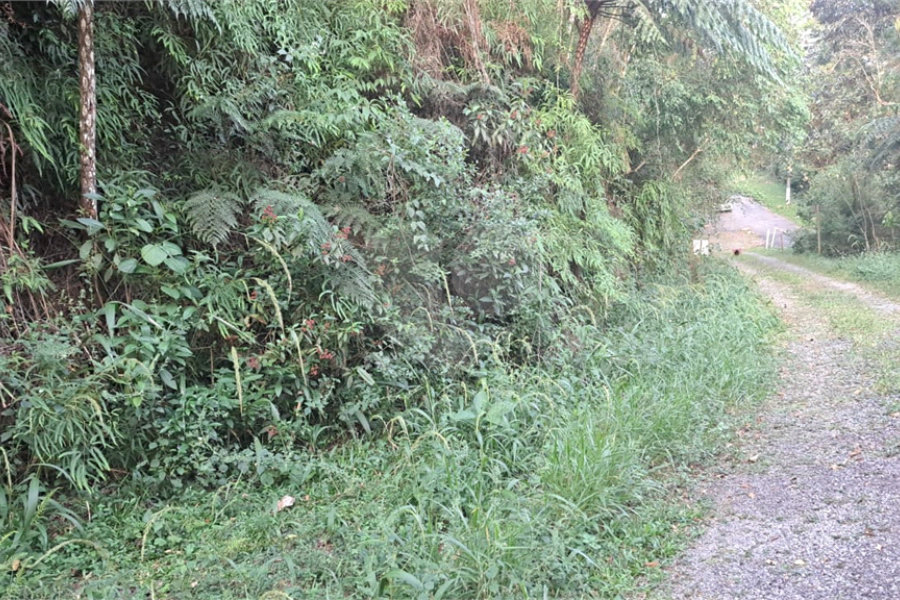 Terreno à venda no condomínio Associação Reserva das Hortênsias, Mairiporã - SP