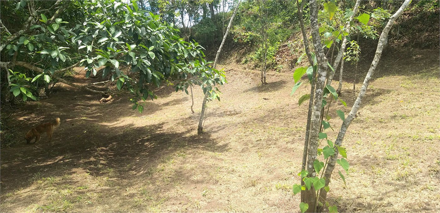 Sítio à venda no Centro, Monte Sião, MG