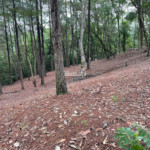 Terreno à venda no Condomínio Rancho Maringá II – Portão, Atibaia/SP | 1.600 m² em meio à natureza