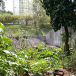 Casa Térrea à venda com 3 quartos em Vila Nova Cachoeirinha, São Paulo, SP