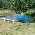 Sítio à venda com 2 quartos em Área Rural de Lagoinha, Lagoinha, SP