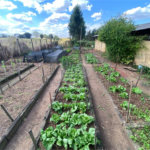 Excelente sitio para venda.