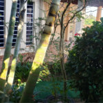 Sobrado à venda com 3 quartos, sendo 1 suíte, em Horto, São Paulo, SP