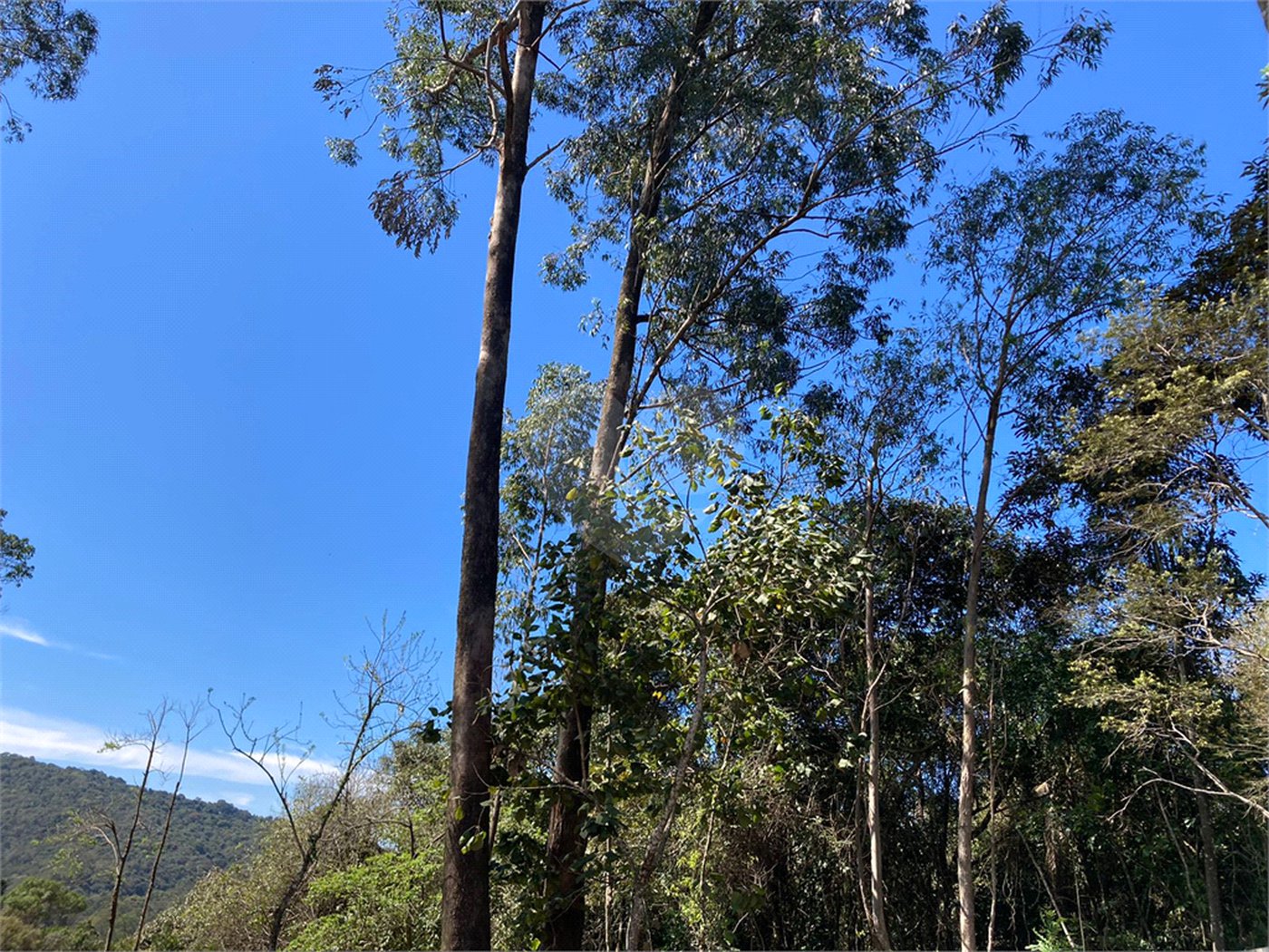 Terreno à venda no condomínio Suíça da Cantareira, Mairiporã - SP