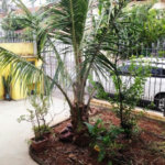 Casa Térrea à venda com 3 quartos, sendo 1 suíte, em Vila Cordeiro, São Paulo, SP