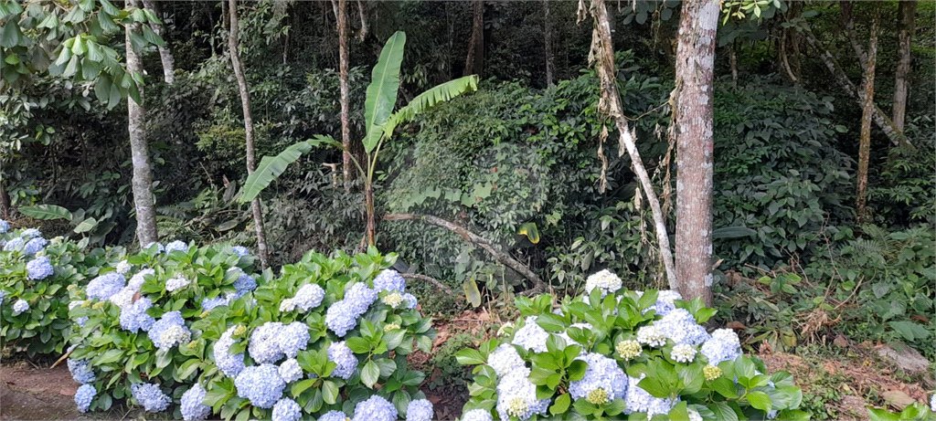 Terreno à venda em Roseira, Mairiporã, SP