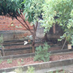 Terreno à venda com 1 quarto em Casa Verde, São Paulo, SP