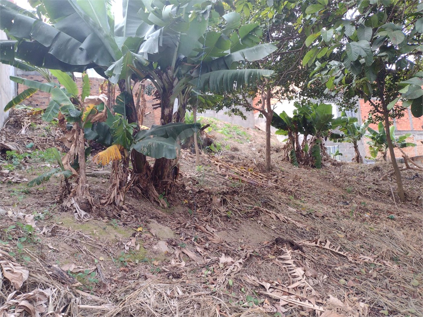 Terreno à venda em Vila Romero, São Paulo, SP