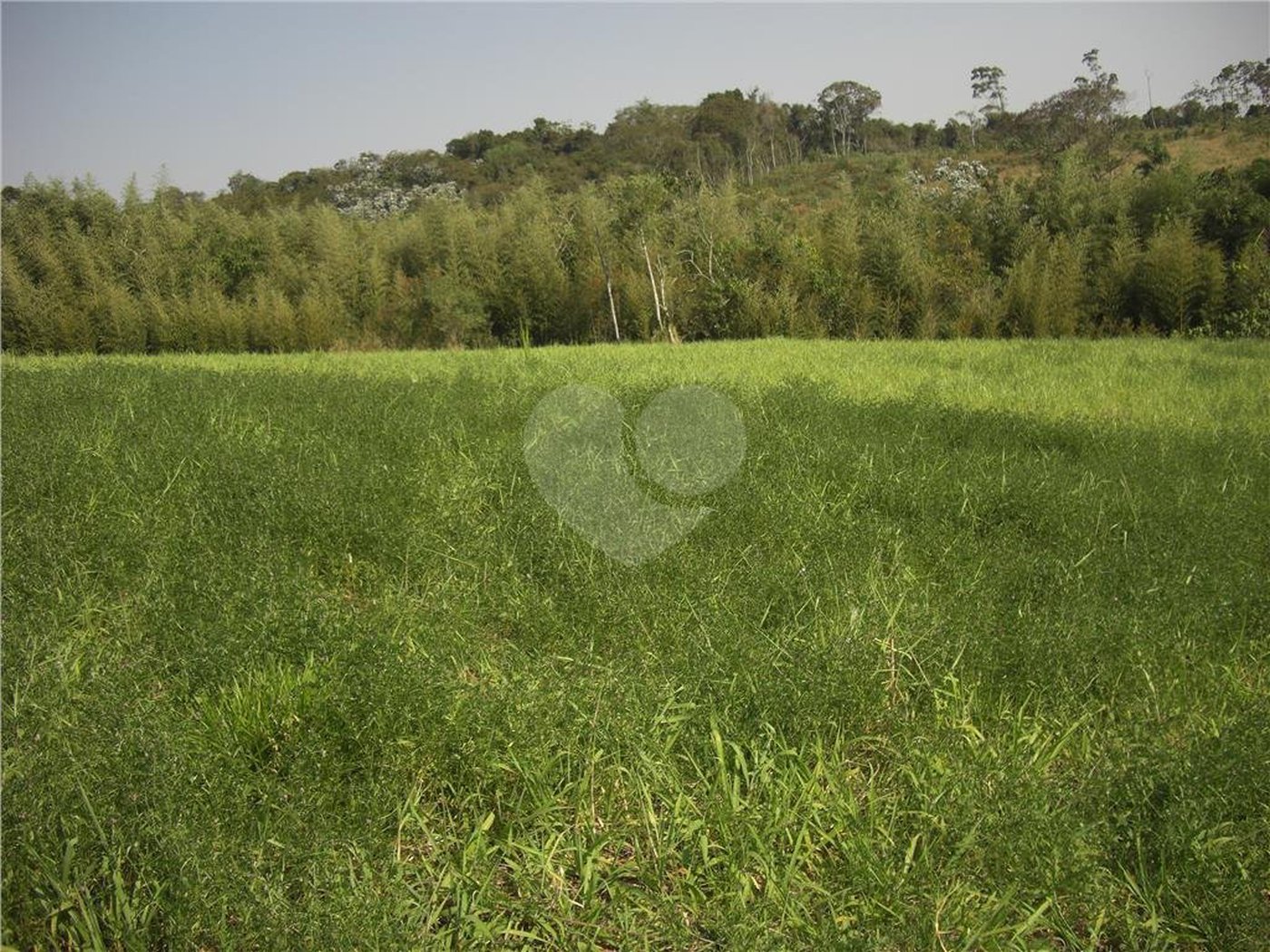 Área de Terra à venda em Porteira Preta, Mogi das Cruzes, SP