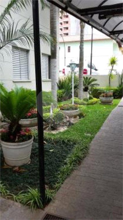 Apartamento à venda com 3 quartos em Santa Terezinha, São Paulo, SP