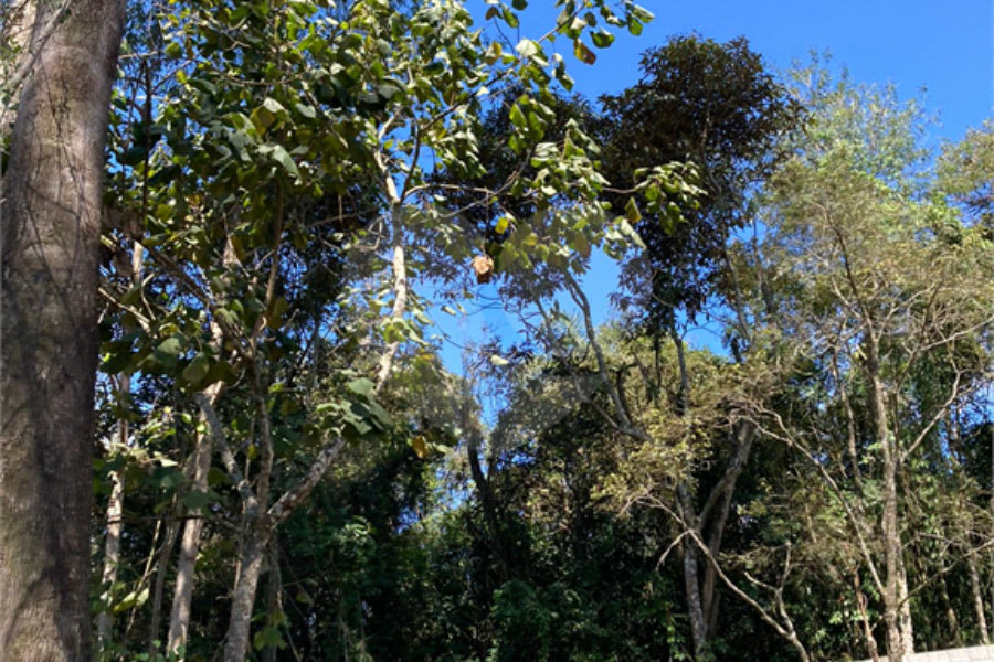 Terreno à venda no condomínio Suíça da Cantareira, Mairiporã - SP