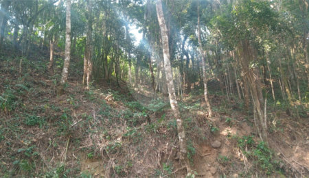 Terreno à venda em Serra da Cantareira, Mairiporã, SP