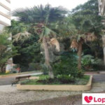 Apartamento à venda com 3 quartos em Copacabana, Rio de Janeiro, RJ