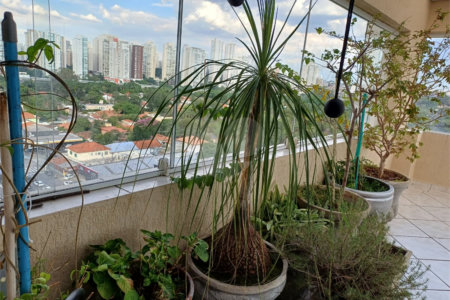 Apartamento à venda com 3 quartos, sendo 1 suíte, em Brooklin Paulista, São Paulo, SP