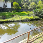 Chácara à venda com 10 quartos, sendo 20 suítes, em Serra da Cantareira, Mairiporã, SP