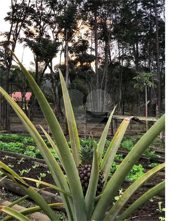 Chácara à venda com 5 quartos, sendo 2 suítes, em Taiaçupeba, Mogi das Cruzes, SP
