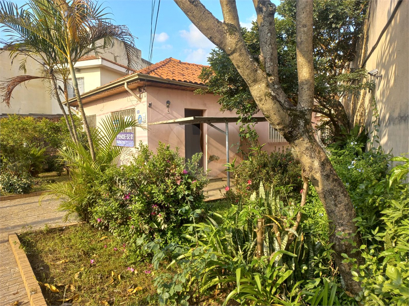 Terreno à venda em Limão, São Paulo, SP