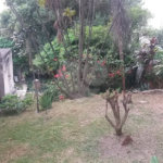 Terreno à venda em Tucuruvi, São Paulo, SP