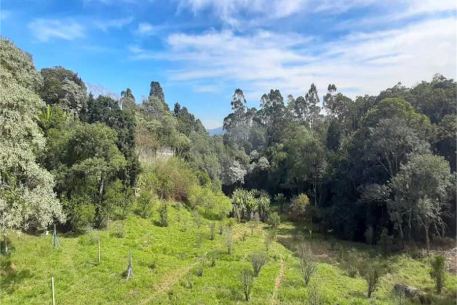 Terreno à venda em Serra da Cantareira, Mairiporã, SP