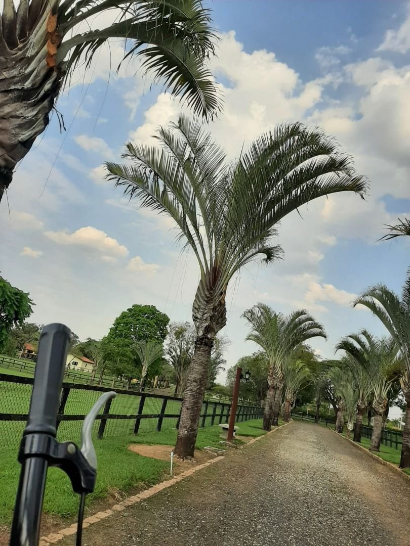 Rancho com 12 dormitórios à venda, 63000 m² por R$ 7.500.000,00 - Condomínio Haras Paineiras - Salto/SP