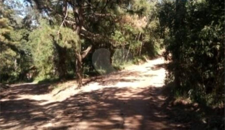 Terreno à venda em Estância Angelina, Suzano, SP