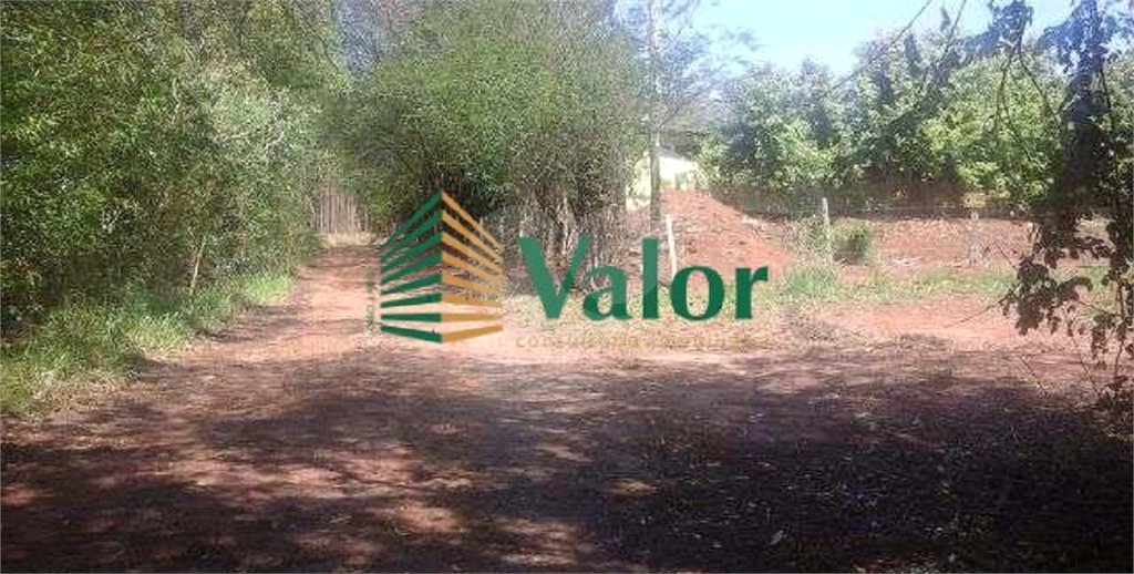 Sítio Estrada São Carlos Ribeirão - próximo São Carlos