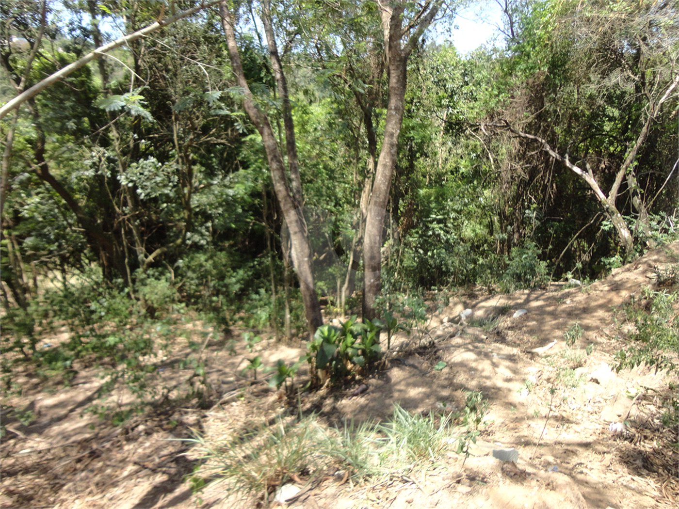 Chácara à venda com 4 quartos em Vista Alegre, Vinhedo, SP