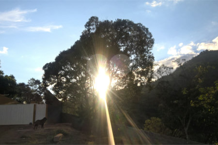 Hotel à venda com 7 quartos, sendo 4 suítes, no Centro, Soledade de Minas, MG