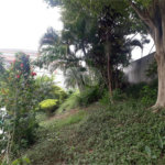 Apartamento à venda com 2 quartos, sendo 1 suíte, em Vila Nova Mazzei, São Paulo, SP
