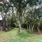 Terreno à venda no condomínio Residencial Quinta das Palmeiras, Itapetininga - SP
