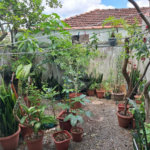 Sobrado à venda com 3 quartos, sendo 1 suíte, em Vila Irmãos Arnoni, São Paulo, SP