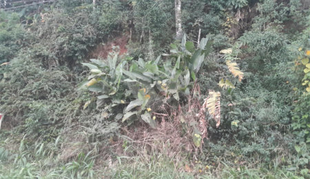 Terreno à venda em Serra da Cantareira, Mairiporã, SP