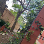 APARTAMENTO À VENDA CONDOMINIO PRINCESS PLAZA 59M², 2 DORMITORIOS,1 VAGA, VILA BANDEIRANTES/SP