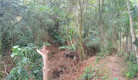 Terreno à venda em Vila Sol Nascente, Suzano, SP