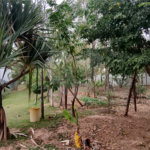 Casa à venda com 2 quartos no condomínio Grand Parc, Itu - SP