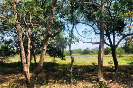 Sítio à venda com 3 quartos em Área Rural de Três Lagoas, Três Lagoas, MS