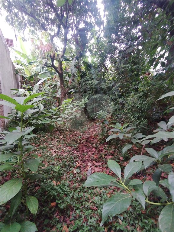 Terreno à venda em Vila Carmosina, São Paulo, SP