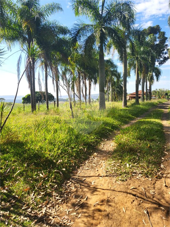 SÍTIO A VENDA - BELA VISTA