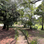 Terreno à venda no condomínio Rancho Dirce, Sorocaba - SP