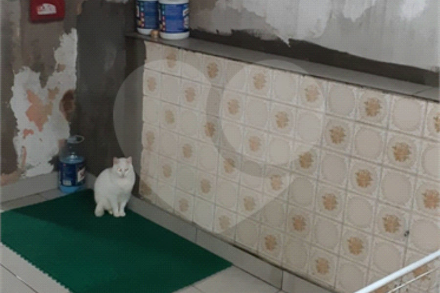 Casa Térrea à venda com 4 quartos em Vila Gustavo, São Paulo, SP