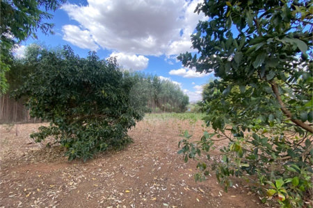 Excelente sitio para venda.