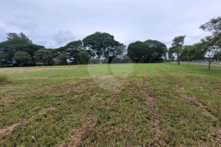 Loteamento Residencial no Condomínio Vila Pinhal do Broa