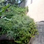 Terreno à venda com 2 quartos em Sapopemba, São Paulo, SP