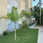 Apartamento à venda com 2 quartos em Jardim do Triunfo, Guarulhos, SP