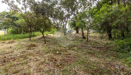 Terreno à venda em Retiro das Fontes, Atibaia, SP