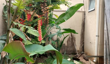 Sobrado à venda com 3 suítes em Jardim Colombo, São Paulo, SP