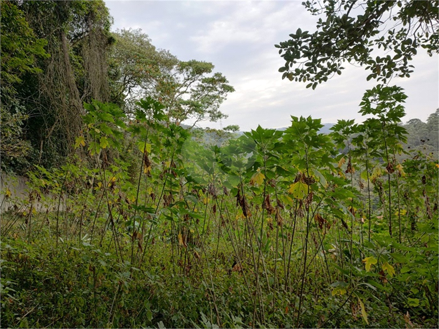 Terreno à venda em Barro Branco (zona Norte), São Paulo, SP